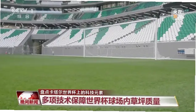 卡塔尔世界杯如何用暖季型草种确保球体轨迹可预测？